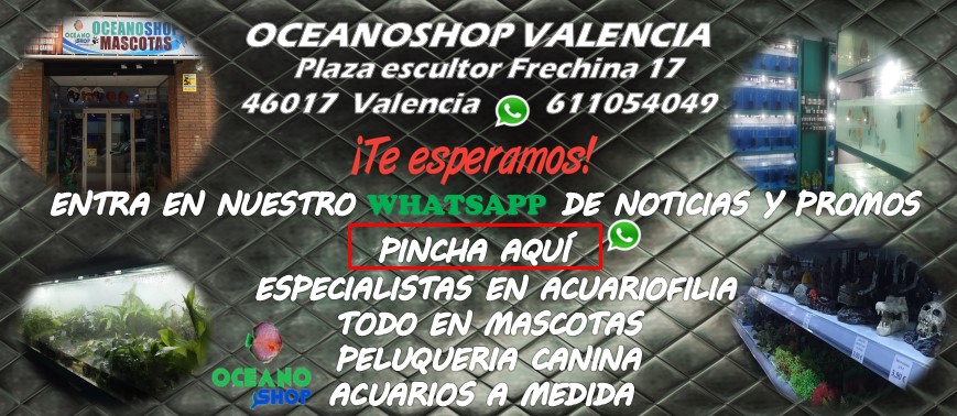 Recambio Discos Activos Marine  Hasta -80% Descuento en Perfumerias  Valencia